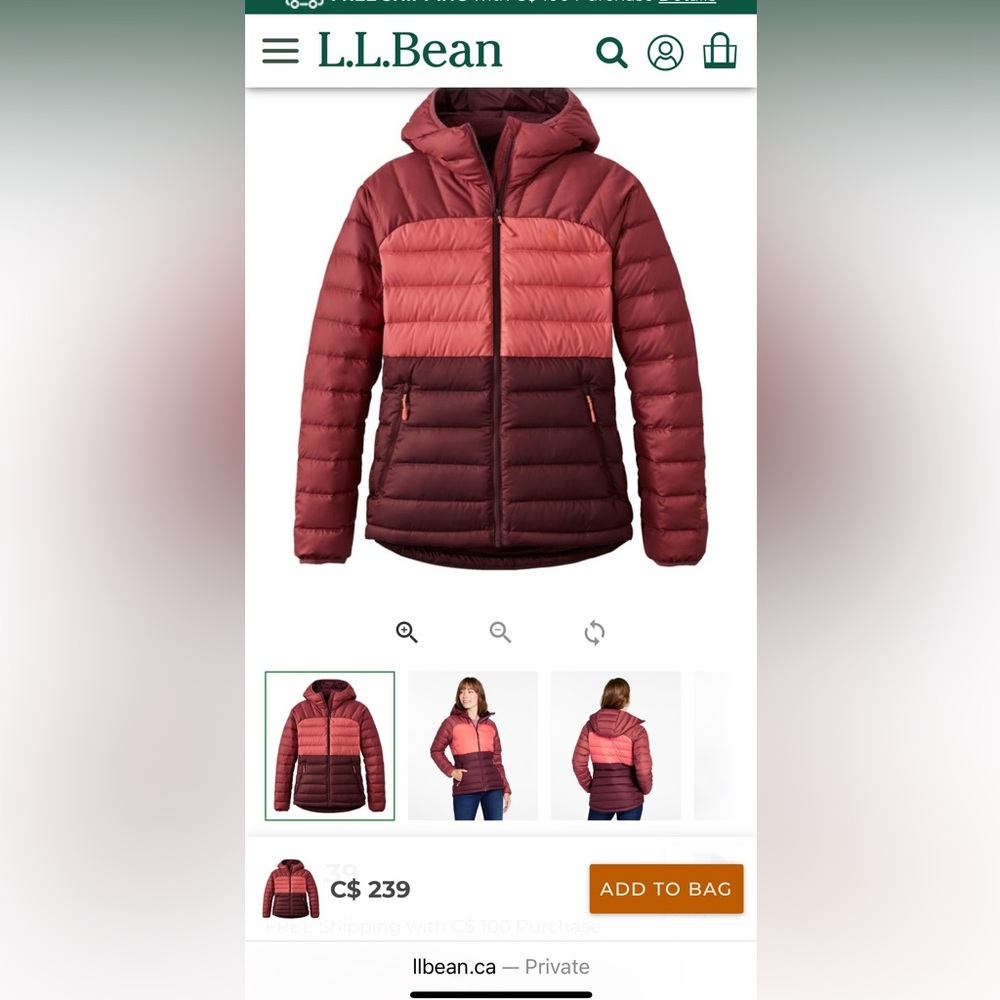 LL Bean Colorblock Hooded Down Women’s Jacket NWT